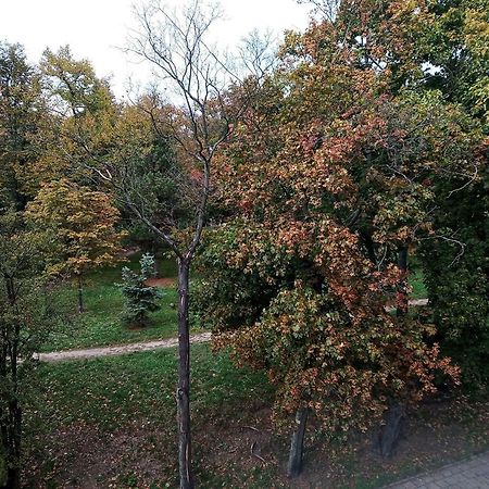 Central Park Apartment Zielona Gora  Bagian luar foto